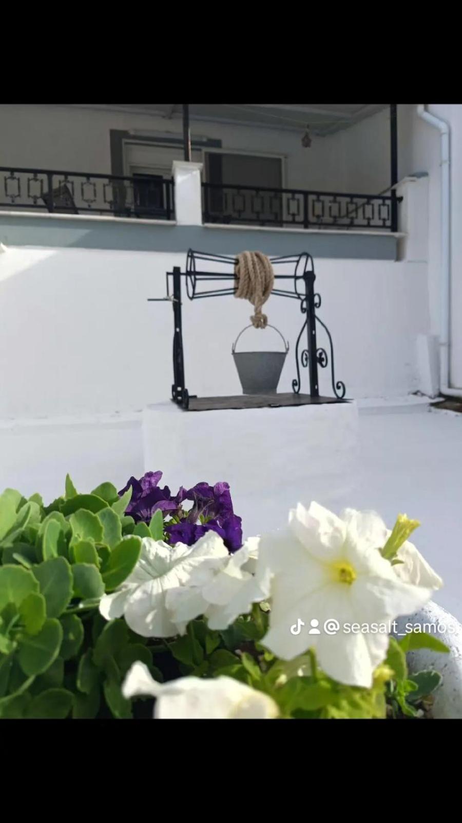 Sea Salt Apartments Ποσειδώνιο Εξωτερικό φωτογραφία